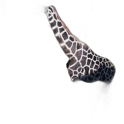 animal, jewelry, shoes, hat transparent PNG cut-out