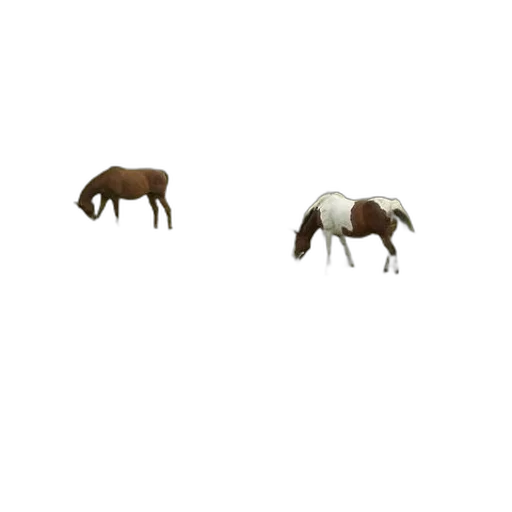 animal, furniture, creature, hair transparent PNG cut-out