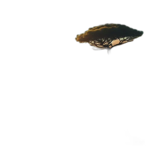 animal, crown, creature, hat transparent PNG cut-out
