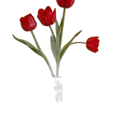 flower, jewelry, crown, staff transparent PNG cut-out