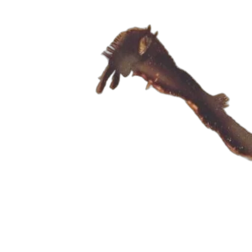 staff, dragon, animal, creature transparent PNG cut-out
