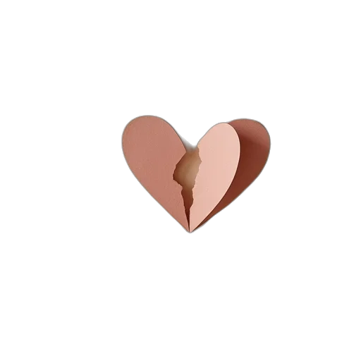 jewelry, shoes, hair, food transparent PNG cut-out