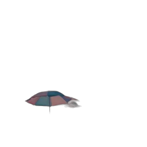 umbrella, hat, shoes, jacket transparent PNG cut-out