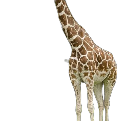 animal, creature, staff, weapon transparent PNG cut-out