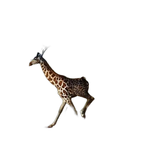 animal, creature, staff, jewelry transparent PNG cut-out