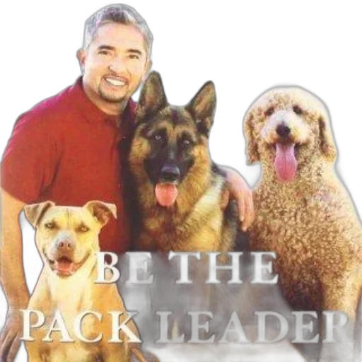 staff, animal, book, cover transparent PNG cut-out