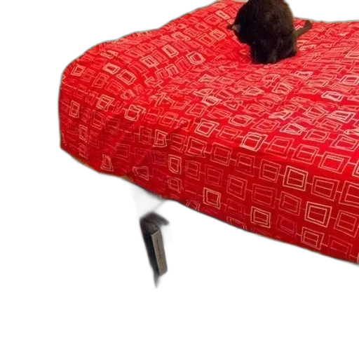 hat, furniture, umbrella, shoes transparent PNG cut-out