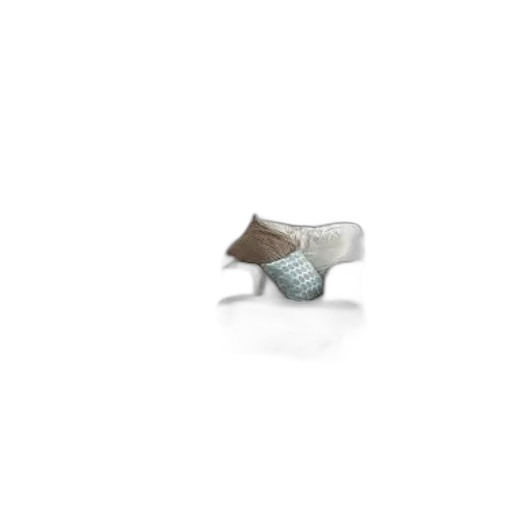furniture, shoes, jewelry, hat transparent PNG cut-out