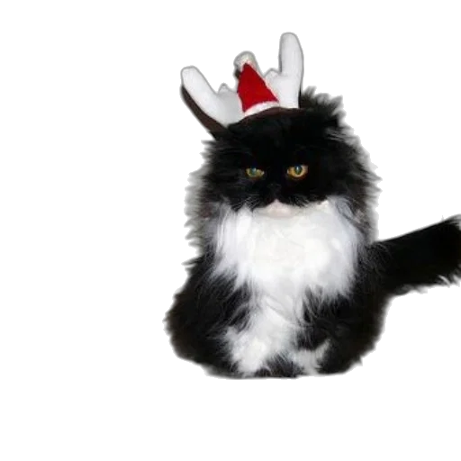 hat, animal, creature, crown transparent PNG cut-out