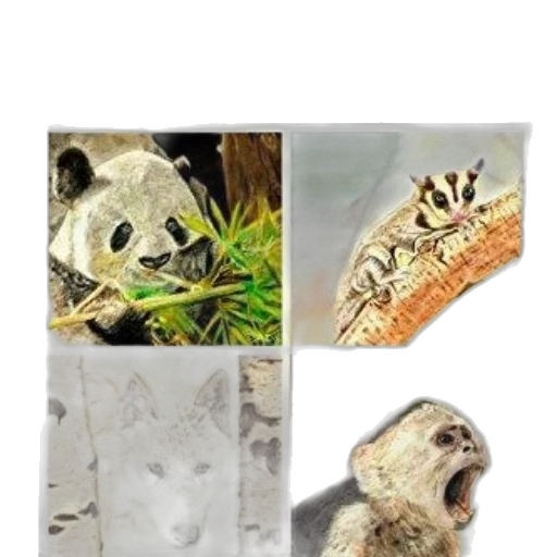 animal, mask, jewelry, creature transparent PNG cut-out