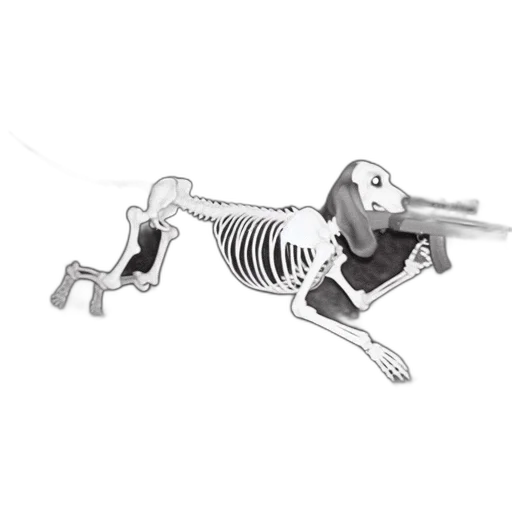 animal, robot, weapon, creature transparent PNG cut-out