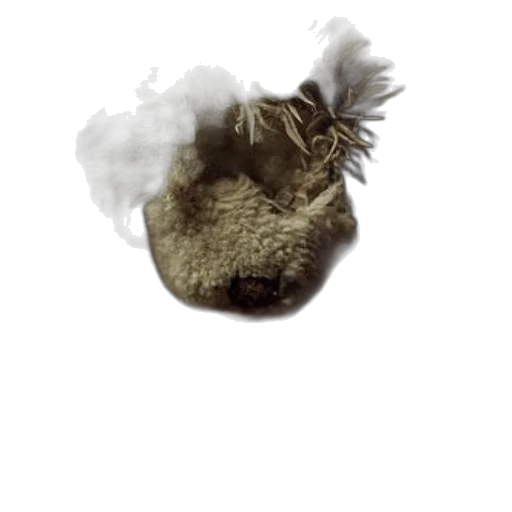 hair, mask, dragon, animal transparent PNG cut-out