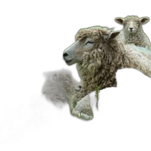 animal, concept art, 3d render, photorealistic transparent PNG cut-out
