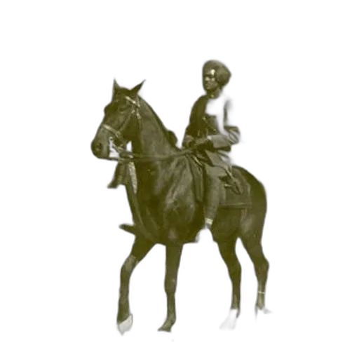 animal, hat, staff, mask transparent PNG cut-out