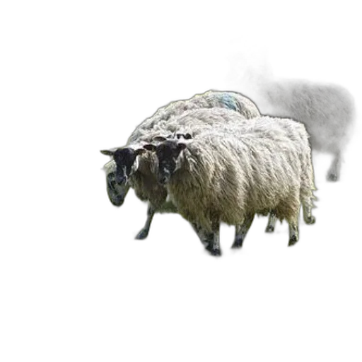 animal, creature, photorealistic, pixel art transparent PNG cut-out