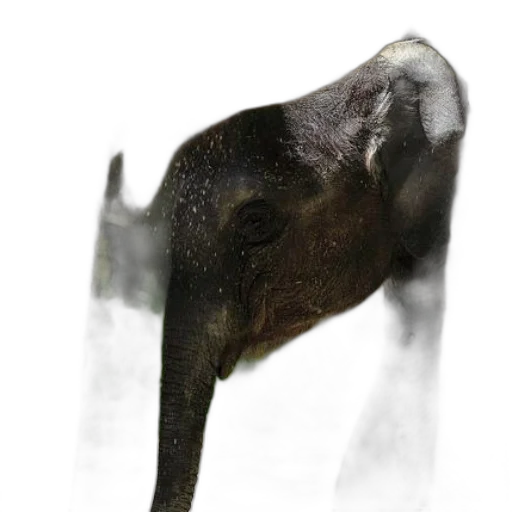 animal, mask, staff, creature transparent PNG cut-out