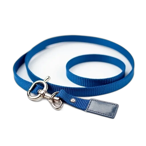 jewelry, staff, blue, pet transparent PNG cut-out