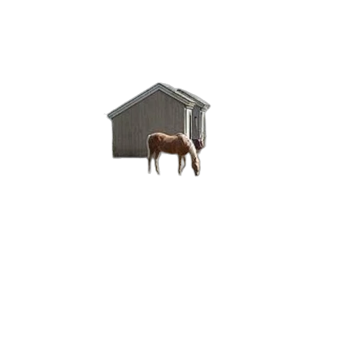 animal, creature, building, furniture transparent PNG cut-out