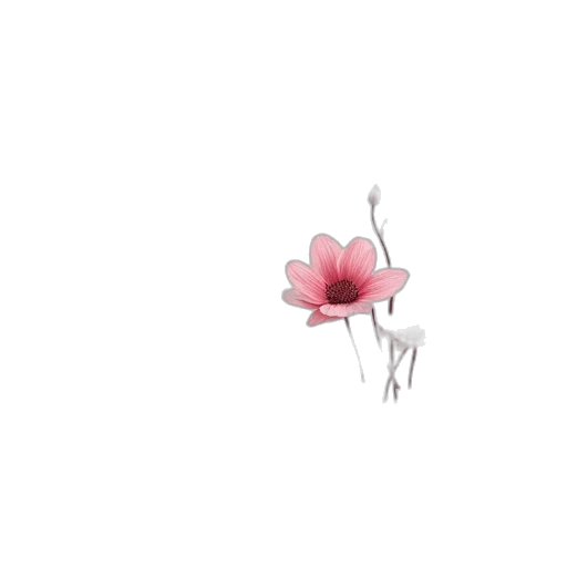 flower, crown, weapon, creature transparent PNG cut-out