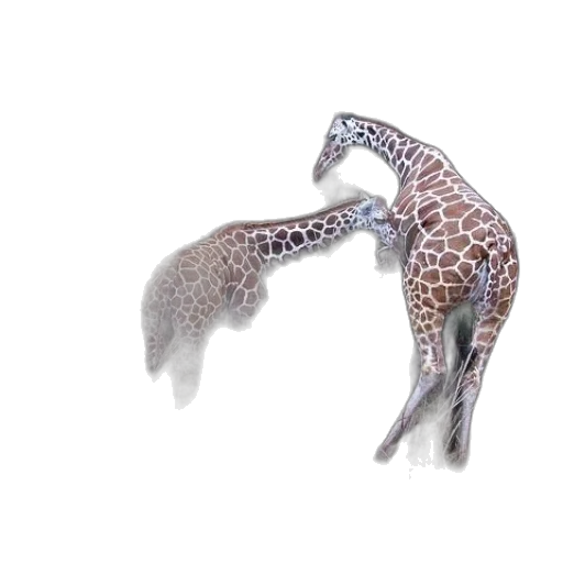 animal, jewelry, creature, dragon transparent PNG cut-out
