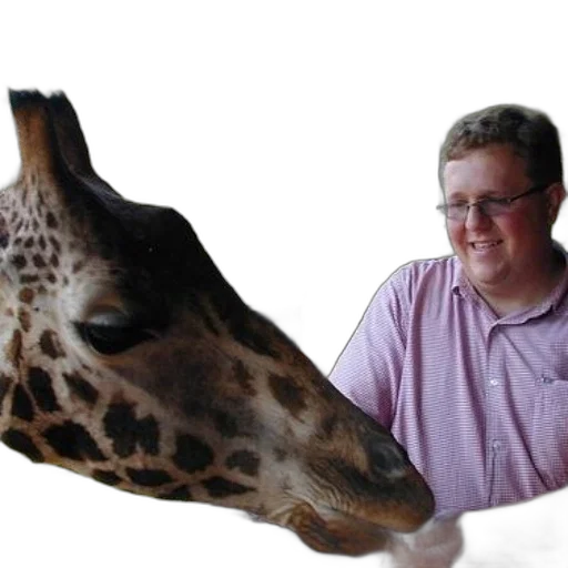 animal, staff, creature, weapon transparent PNG cut-out