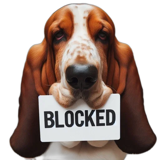 animal, up-close, shot, basset transparent PNG cut-out