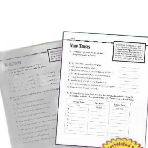 grammar, worksheet, sections, adjectives transparent PNG cut-out