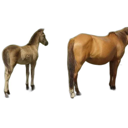 animal, furniture, creature, 3d render transparent PNG cut-out