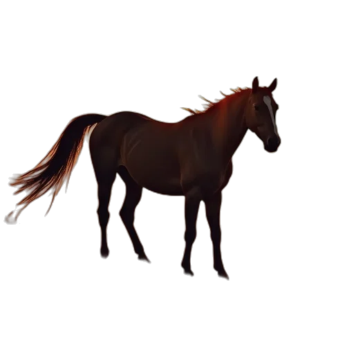 animal, staff, creature, crown transparent PNG cut-out
