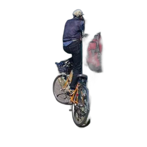 jacket, umbrella, creature, animal transparent PNG cut-out
