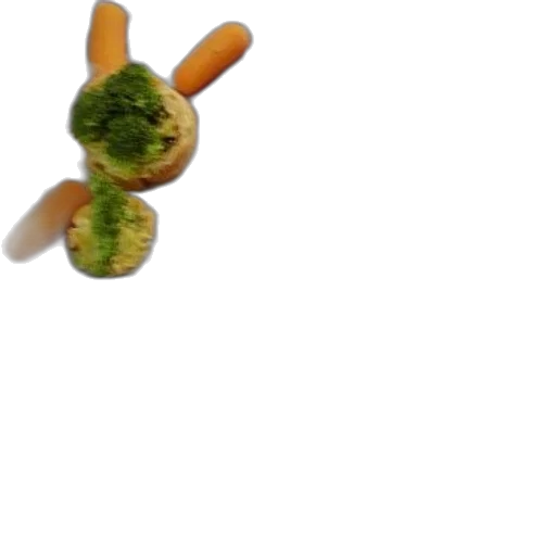 food, weapon, staff, creature transparent PNG cut-out