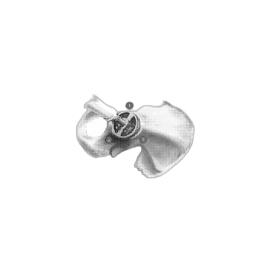 jewelry, flower, crown, weapon transparent PNG cut-out