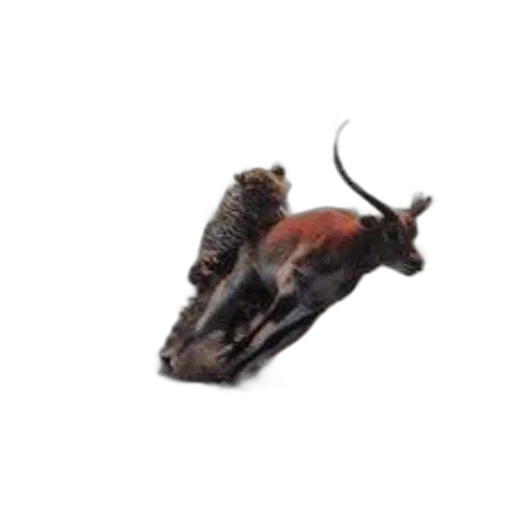 animal, dragon, creature, shoes transparent PNG cut-out