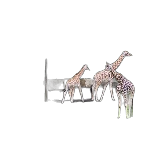 animal, furniture, jewelry, creature transparent PNG cut-out