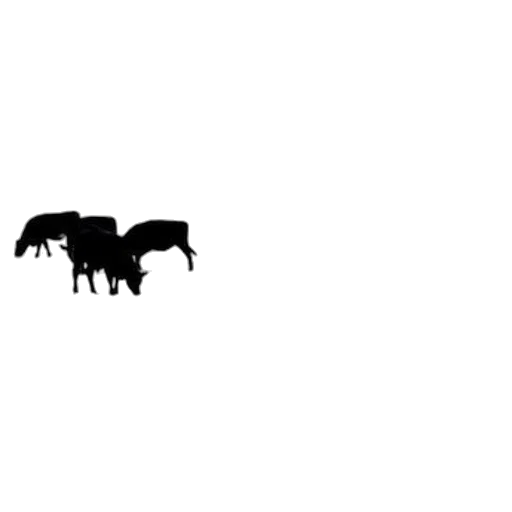 animal, food, creature, concept art transparent PNG cut-out