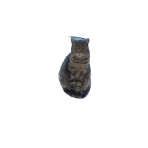 bottle, staff, animal, jewelry transparent PNG cut-out