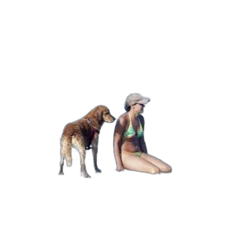 animal, creature, hat, pixel art transparent PNG cut-out