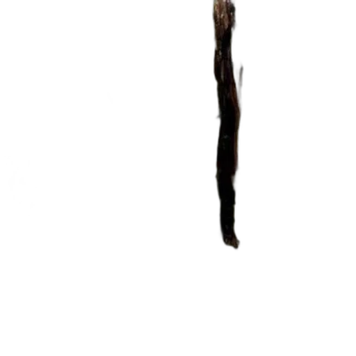 hair, staff, sword, weapon transparent PNG cut-out