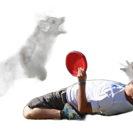 shoes, mask, animal, photorealistic transparent PNG cut-out