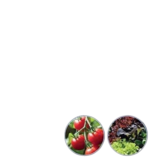 food, animal, crown, jewelry transparent PNG cut-out