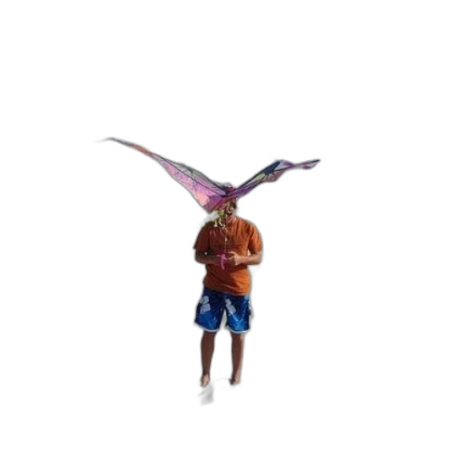 dragon, creature, animal, staff transparent PNG cut-out