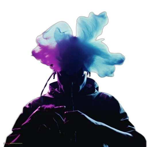 flower, jacket, crown, mask transparent PNG cut-out