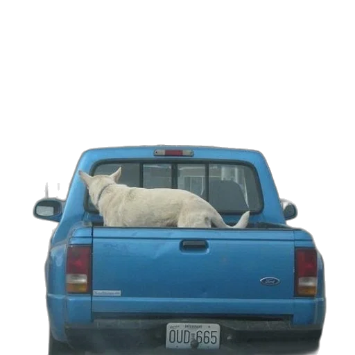 car, animal, creature, dragon transparent PNG cut-out