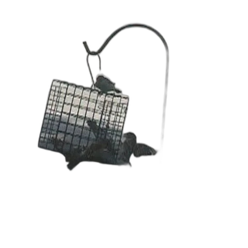 umbrella, jewelry, animal, staff transparent PNG cut-out