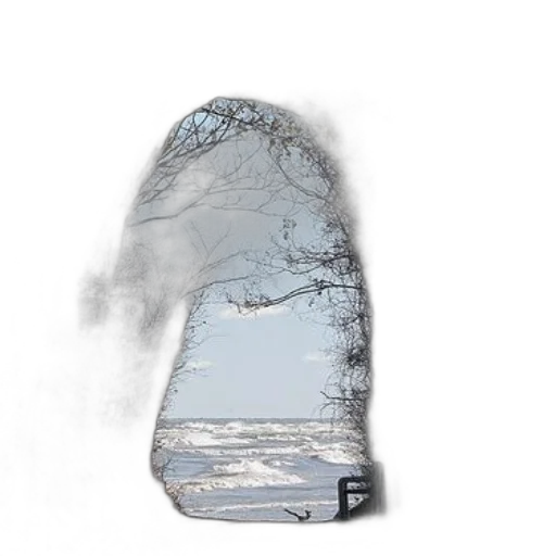 bottle, shoes, mask, tree transparent PNG cut-out