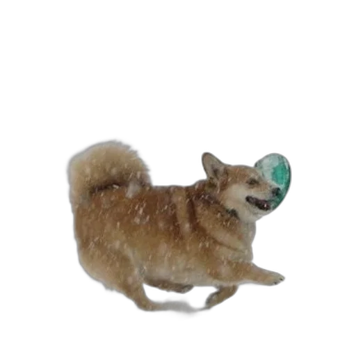 staff, animal, creature, hat transparent PNG cut-out
