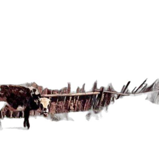 dragon, weapon, sword, animal transparent PNG cut-out