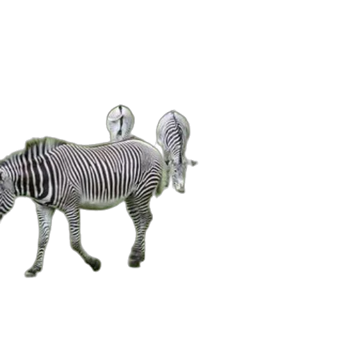 animal, furniture, jewelry, robot transparent PNG cut-out