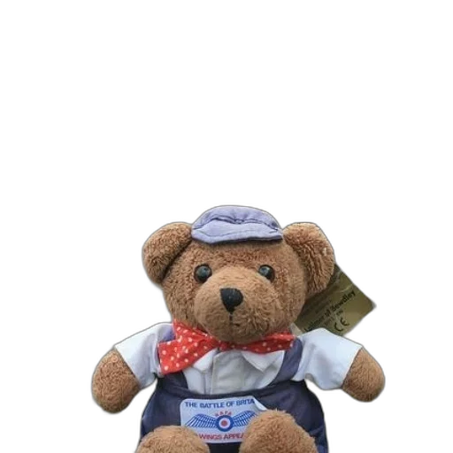 staff, hat, teddy, bear transparent PNG cut-out