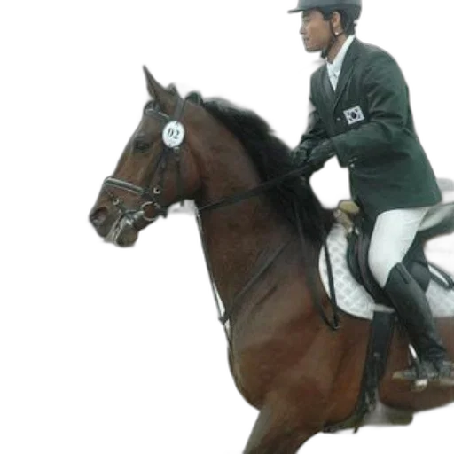 photorealistic, rider, green, jacket transparent PNG cut-out